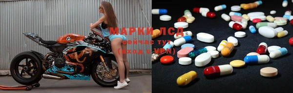 прущие грибы Лихославль