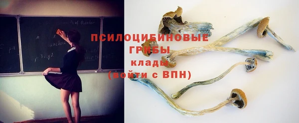 круглые Магас