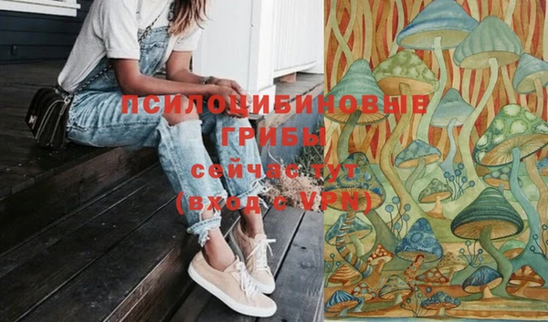 прущие грибы Лихославль